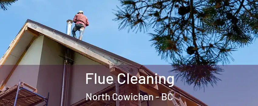  Flue Cleaning North Cowichan - BC