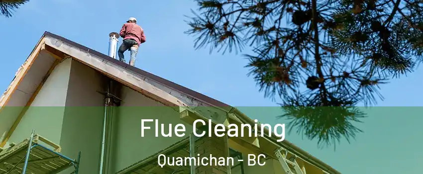  Flue Cleaning Quamichan - BC