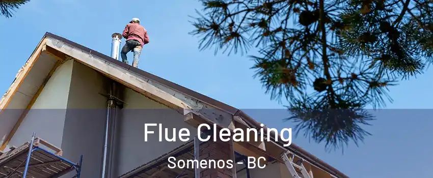  Flue Cleaning Somenos - BC