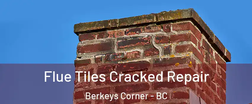  Flue Tiles Cracked Repair Berkeys Corner - BC