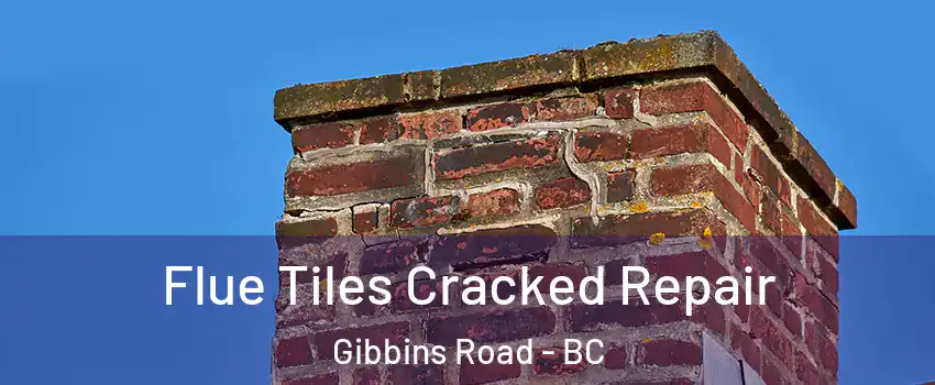  Flue Tiles Cracked Repair Gibbins Road - BC