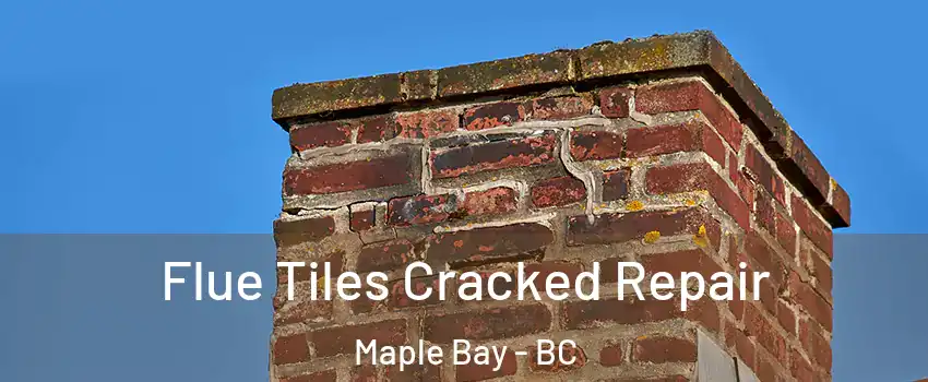  Flue Tiles Cracked Repair Maple Bay - BC