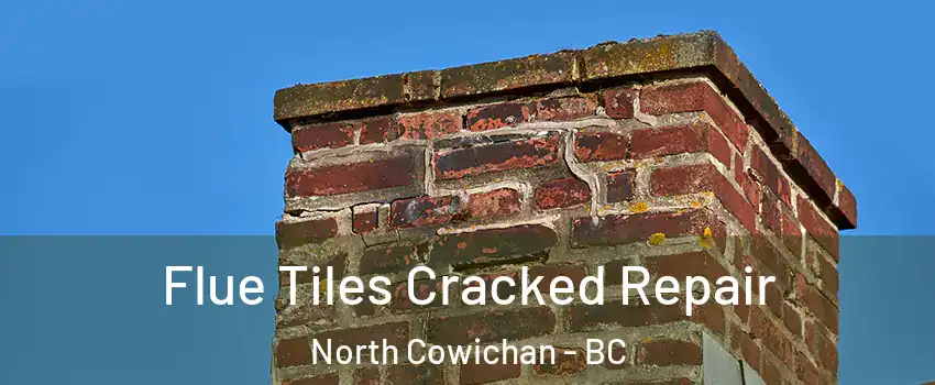 Flue Tiles Cracked Repair North Cowichan - BC