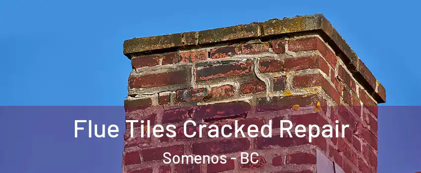  Flue Tiles Cracked Repair Somenos - BC
