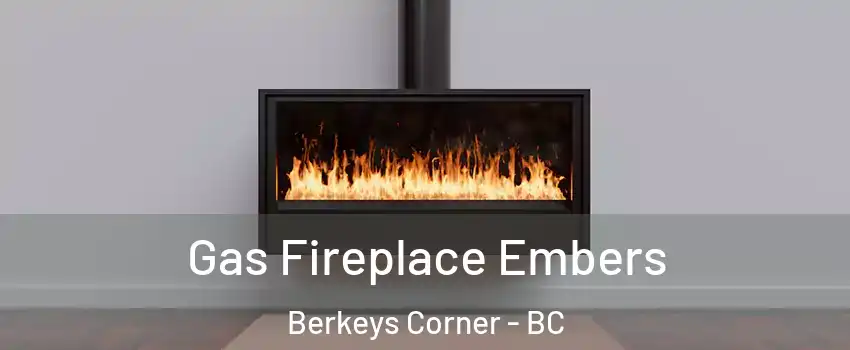  Gas Fireplace Embers Berkeys Corner - BC