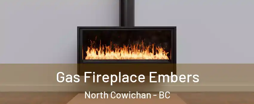  Gas Fireplace Embers North Cowichan - BC