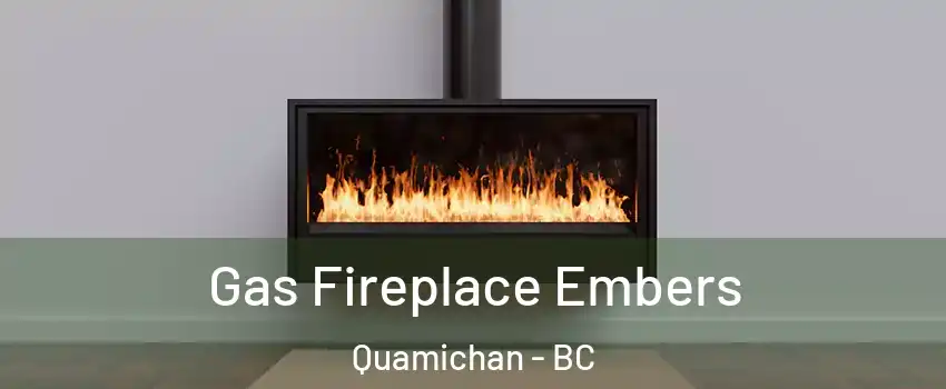  Gas Fireplace Embers Quamichan - BC