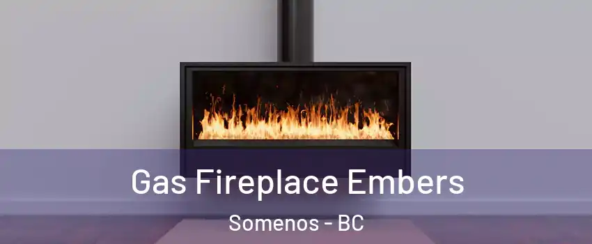  Gas Fireplace Embers Somenos - BC