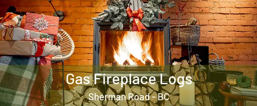  Gas Fireplace Logs Sherman Road - BC