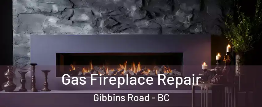  Gas Fireplace Repair Gibbins Road - BC