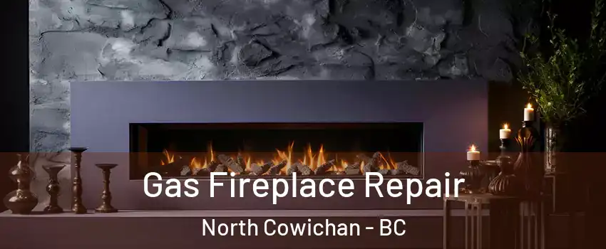  Gas Fireplace Repair North Cowichan - BC