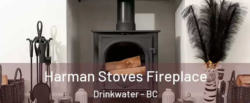  Harman Stoves Fireplace Drinkwater - BC