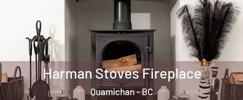  Harman Stoves Fireplace Quamichan - BC