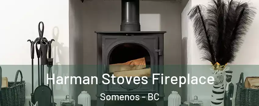  Harman Stoves Fireplace Somenos - BC