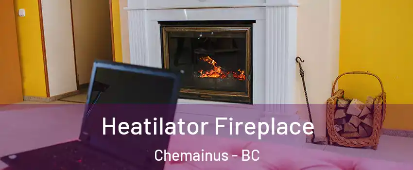  Heatilator Fireplace Chemainus - BC