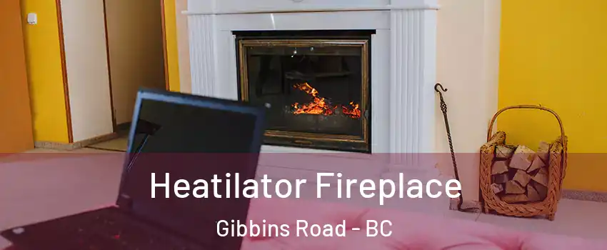  Heatilator Fireplace Gibbins Road - BC