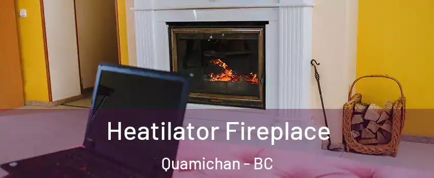  Heatilator Fireplace Quamichan - BC
