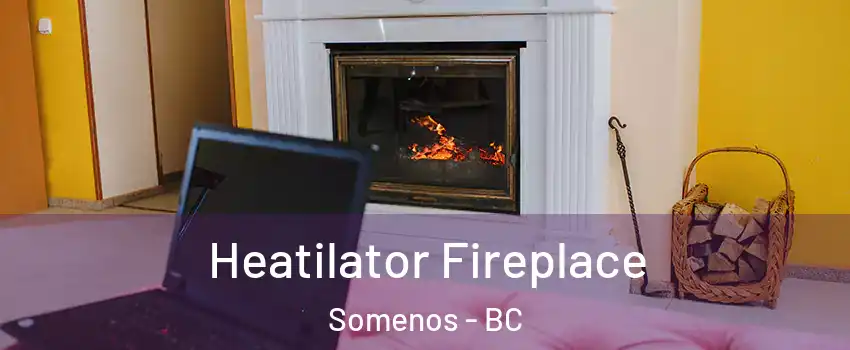  Heatilator Fireplace Somenos - BC