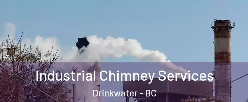  Industrial Chimney Services Drinkwater - BC