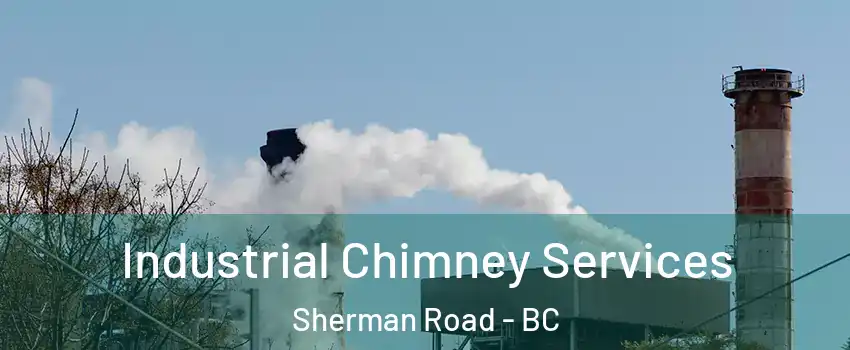  Industrial Chimney Services Sherman Road - BC