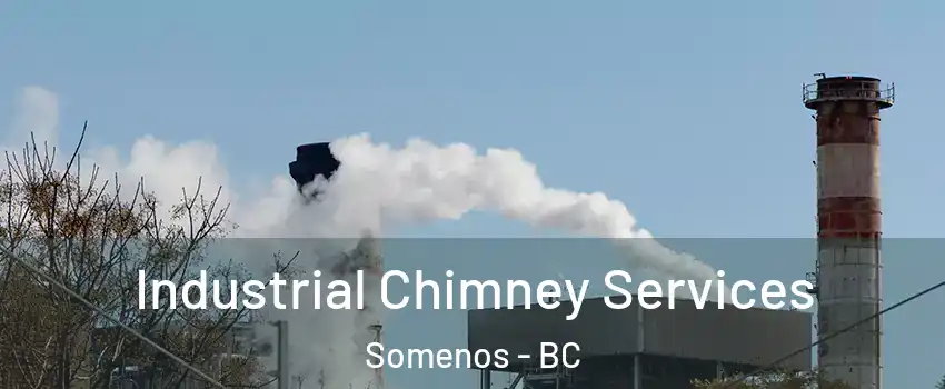  Industrial Chimney Services Somenos - BC