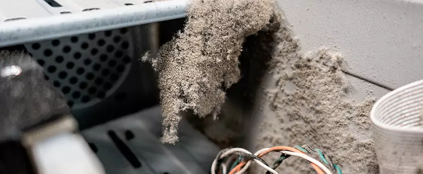Clogged Dryer Vent Lint Cleaning in North Cowichan, British Columbia