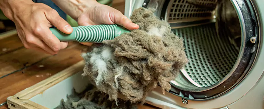 Best Dryer Lint Removal Company in North Cowichan, British Columbia