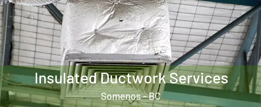  Insulated Ductwork Services Somenos - BC