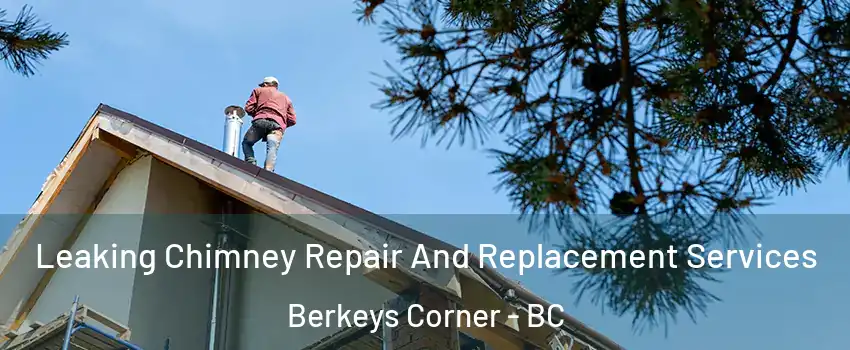  Leaking Chimney Repair And Replacement Services Berkeys Corner - BC