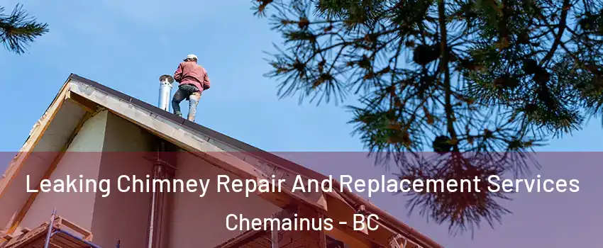  Leaking Chimney Repair And Replacement Services Chemainus - BC