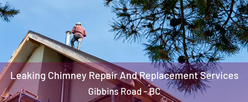  Leaking Chimney Repair And Replacement Services Gibbins Road - BC