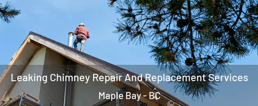  Leaking Chimney Repair And Replacement Services Maple Bay - BC