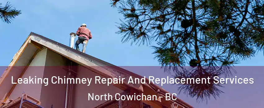  Leaking Chimney Repair And Replacement Services North Cowichan - BC
