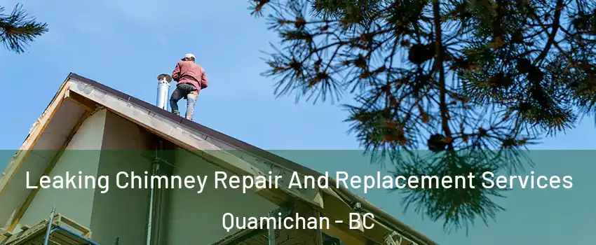  Leaking Chimney Repair And Replacement Services Quamichan - BC