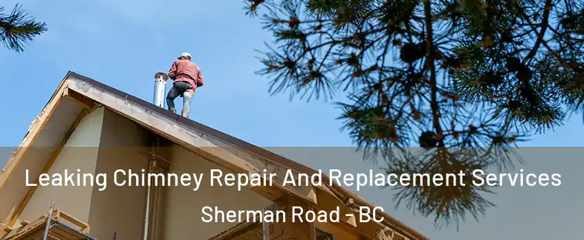  Leaking Chimney Repair And Replacement Services Sherman Road - BC