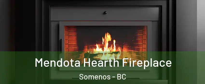  Mendota Hearth Fireplace Somenos - BC