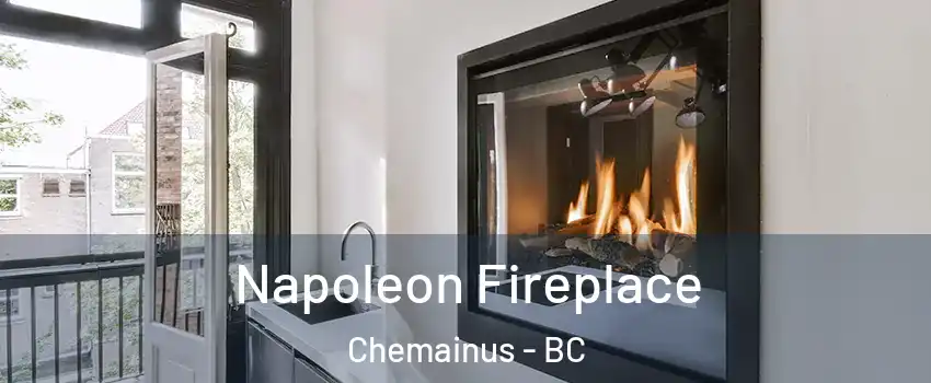  Napoleon Fireplace Chemainus - BC