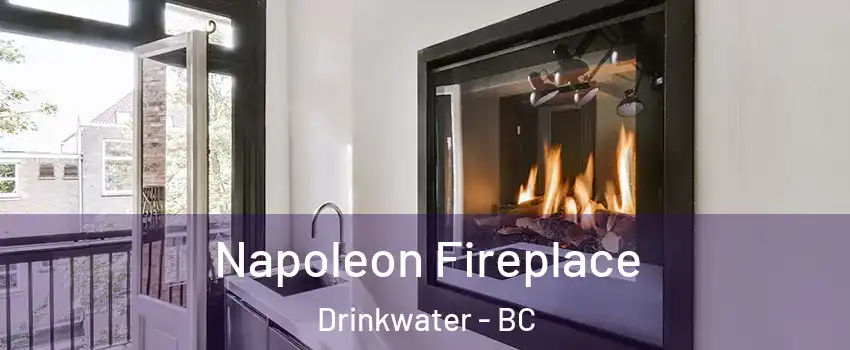  Napoleon Fireplace Drinkwater - BC