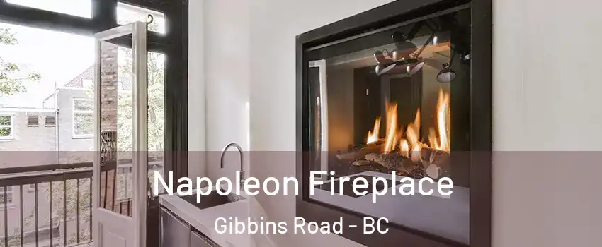  Napoleon Fireplace Gibbins Road - BC