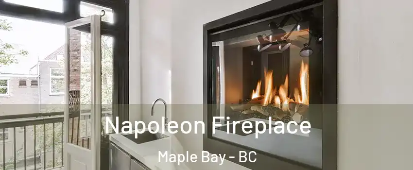  Napoleon Fireplace Maple Bay - BC