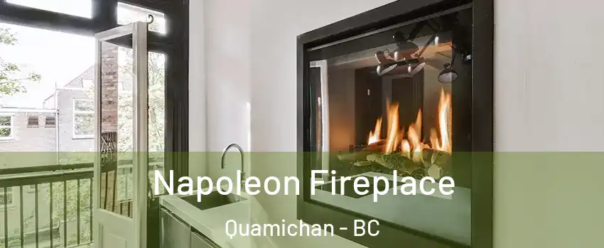  Napoleon Fireplace Quamichan - BC