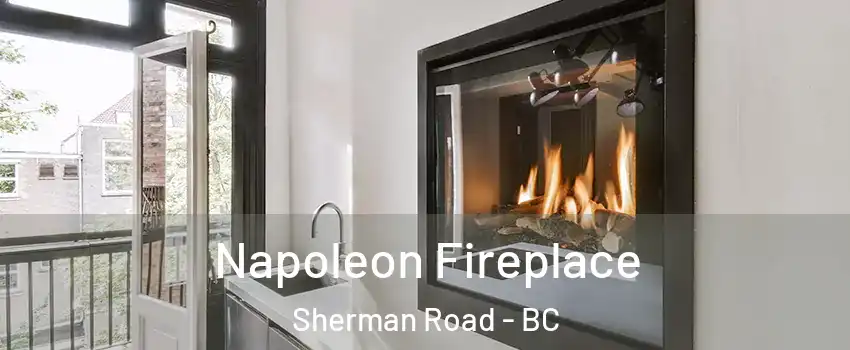  Napoleon Fireplace Sherman Road - BC
