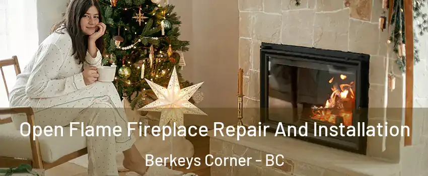  Open Flame Fireplace Repair And Installation Berkeys Corner - BC