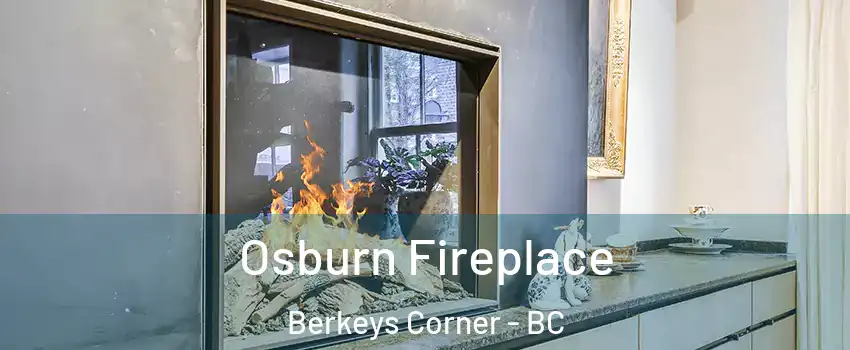  Osburn Fireplace Berkeys Corner - BC