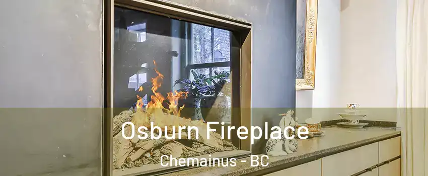  Osburn Fireplace Chemainus - BC