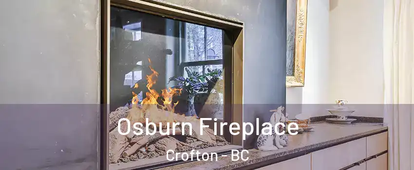  Osburn Fireplace Crofton - BC