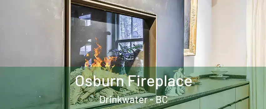  Osburn Fireplace Drinkwater - BC
