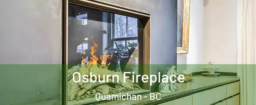  Osburn Fireplace Quamichan - BC
