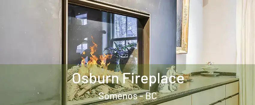  Osburn Fireplace Somenos - BC