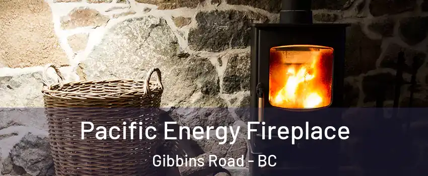  Pacific Energy Fireplace Gibbins Road - BC